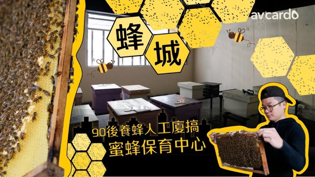 影片縮圖：MYnority —— 蜂城